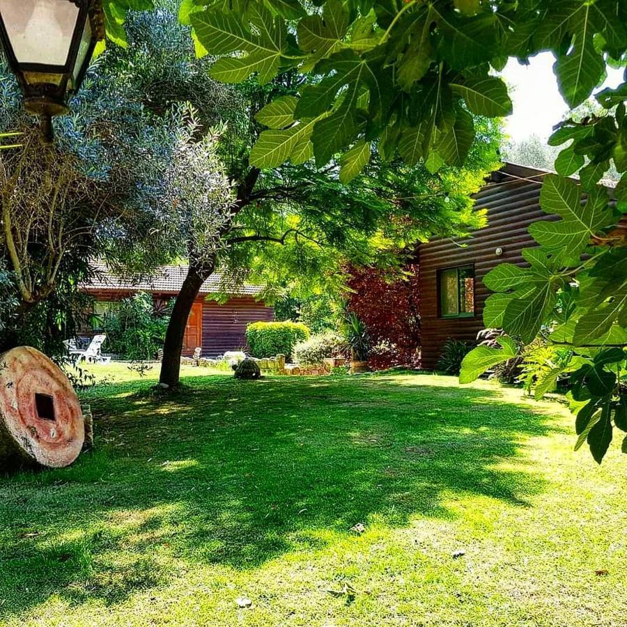 A Place To Dream Tsipori Εξωτερικό φωτογραφία
