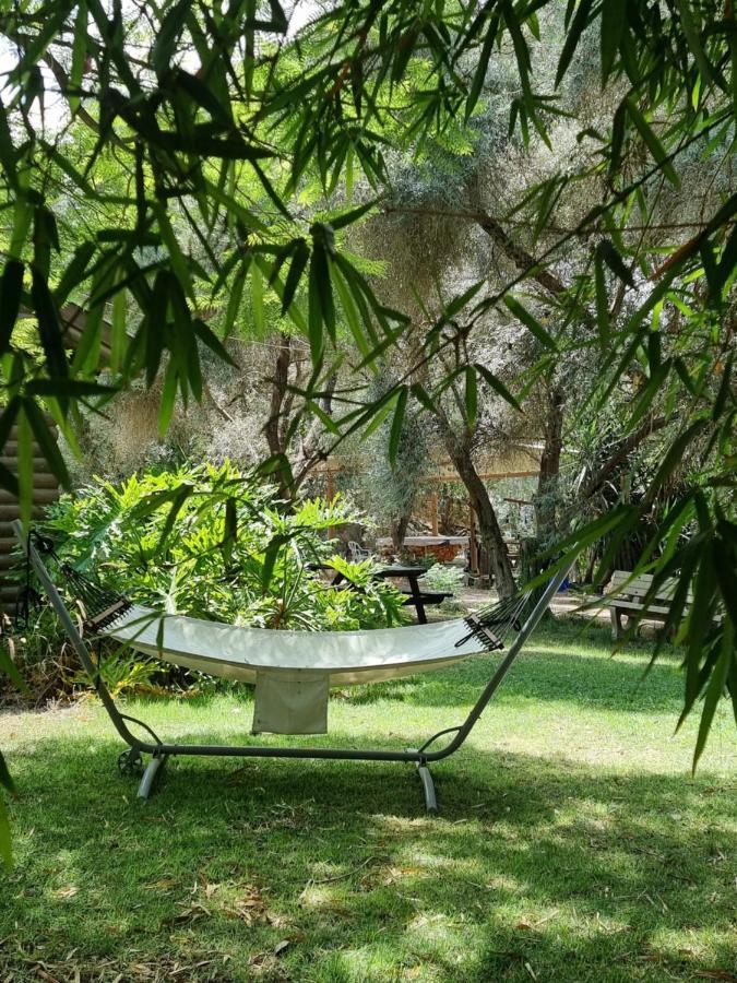 A Place To Dream Tsipori Εξωτερικό φωτογραφία