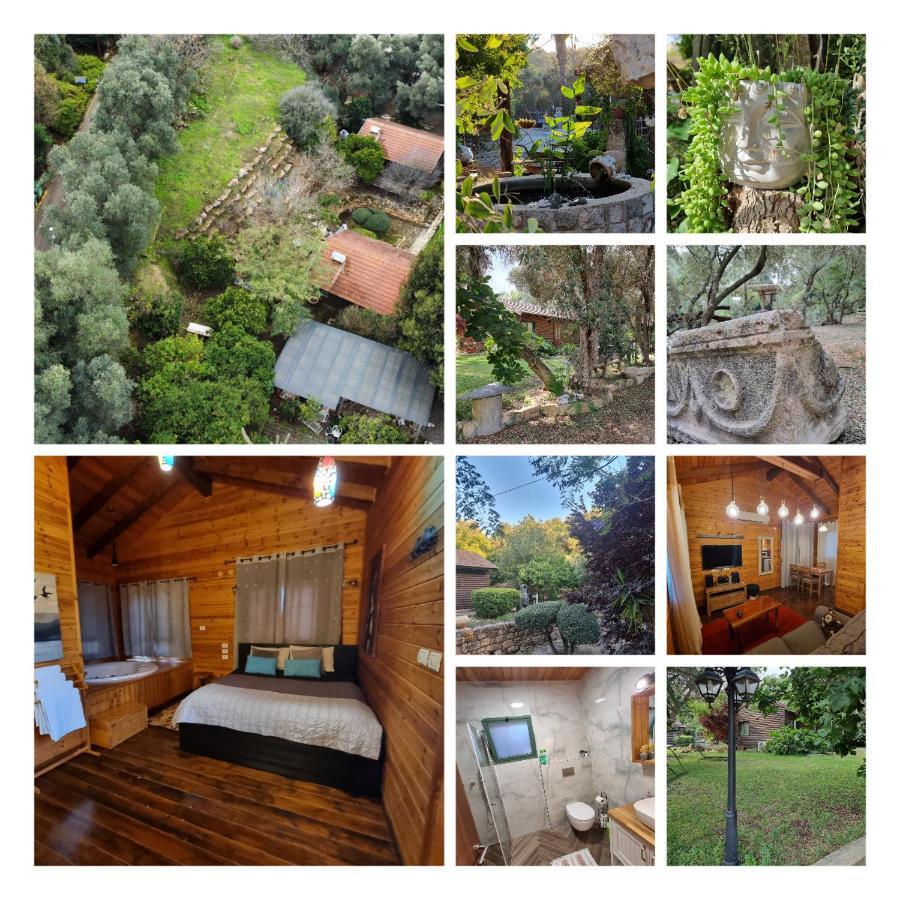 A Place To Dream Tsipori Εξωτερικό φωτογραφία