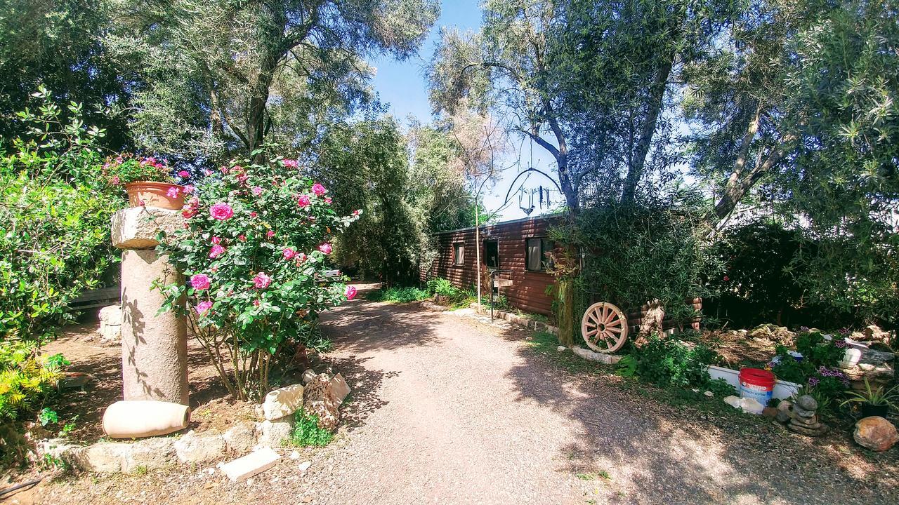 A Place To Dream Tsipori Εξωτερικό φωτογραφία