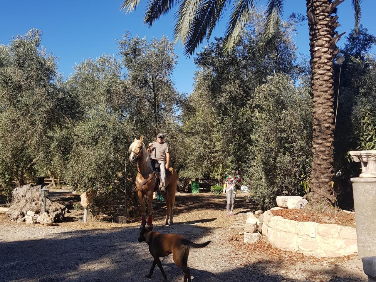 A Place To Dream Tsipori Εξωτερικό φωτογραφία