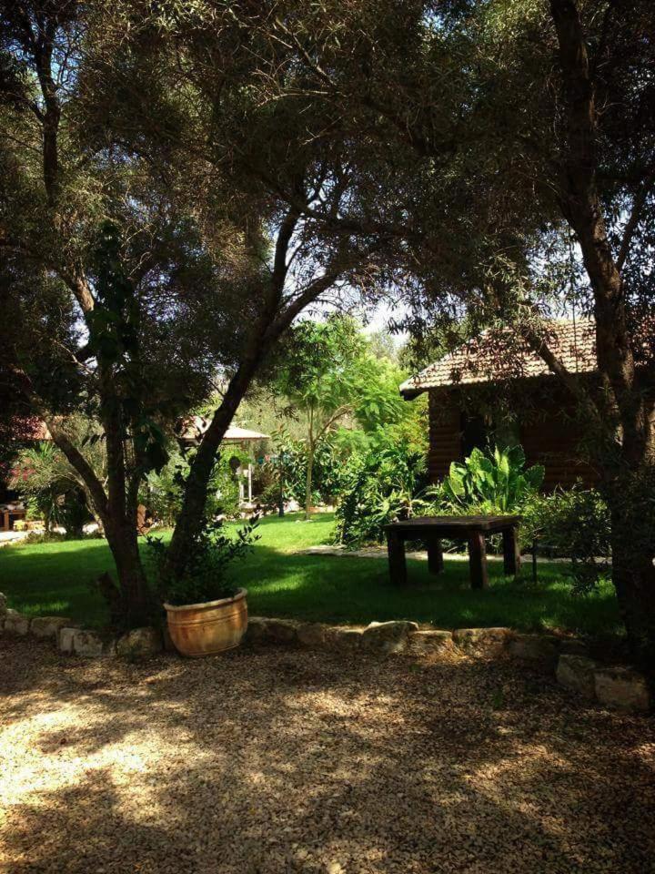A Place To Dream Tsipori Εξωτερικό φωτογραφία