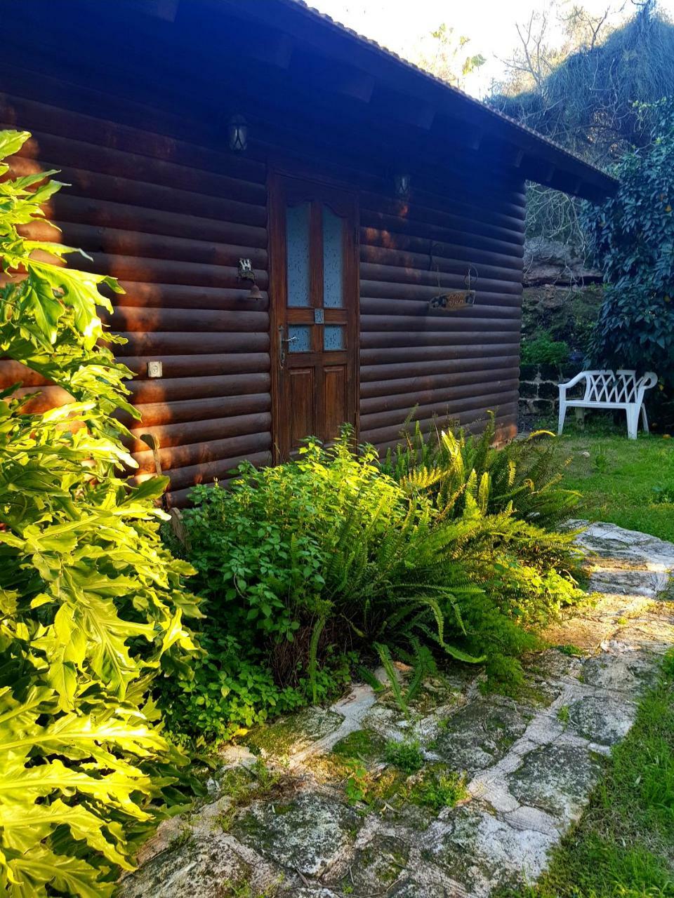 A Place To Dream Tsipori Εξωτερικό φωτογραφία